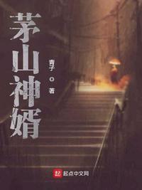 茅山神婿最新章节