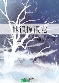 陆执宁蓁开车