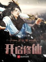 从山贼做起