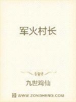 军火大帝