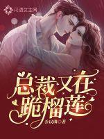 总裁又去求婚了免费阅读