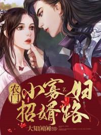 农门小寡妇招婿路电视剧