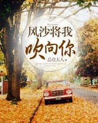 风沙将我吹向你是什么歌