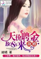 天价聘金boss来劫婚