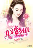 非婚勿扰总裁夫人
