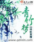 青竹梦男主身份