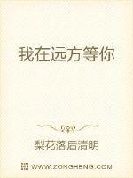我在远方等你什么歌
