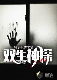双生神探在线观看