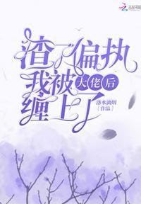 渣了偏执大佬后往寨黎
