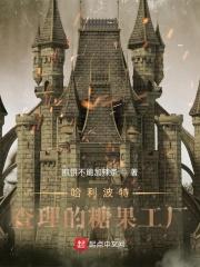哈利波特里卖糖果的地方