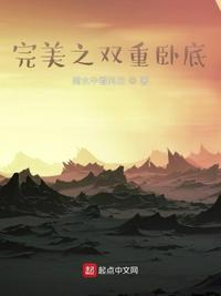 双重完美