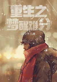 重生之梦忱