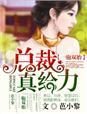 一胞双胎总裁