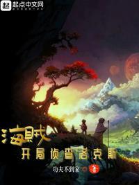 海贼开局洛克斯时代
