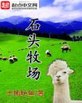 石头npc在哪里