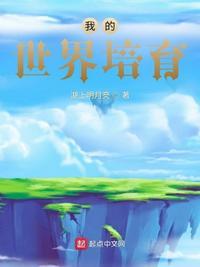 我的世界叶枫幸运