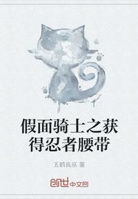 假面骑士腰带极狐忍者带扣