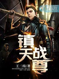 镇天战王