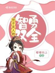 世子夫人[综武侠