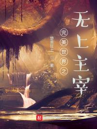 完美世界之无缺风华