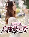 总裁疼你