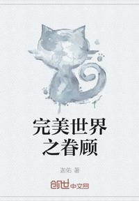 完美世界主攻之