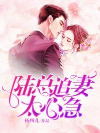 陆总追妻又翻车