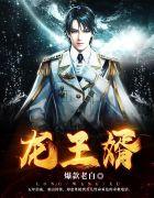 龙王婿完整版