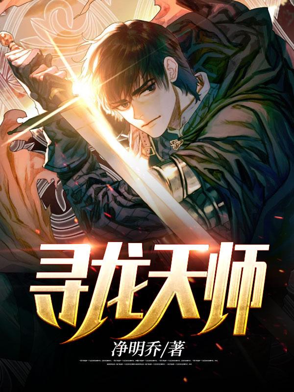 寻龙天师风尘散人境界划分