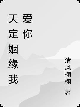 天定姻缘前世修