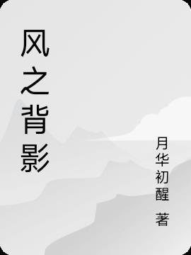 风之影介绍