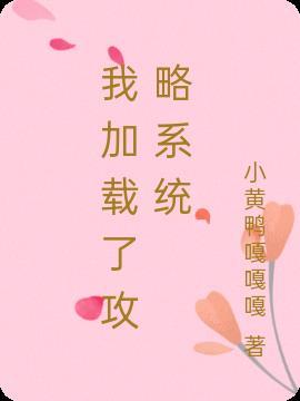 我加载了好哥系统