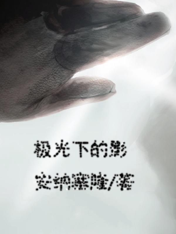 电影极光下观看完整版