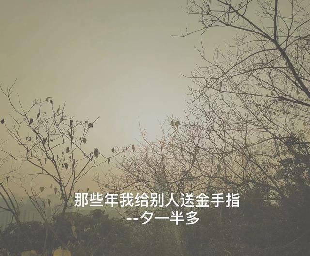 我给国家做金手指的那些年