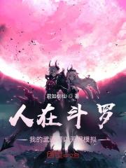 人在斗罗 我的武魂是三幻神