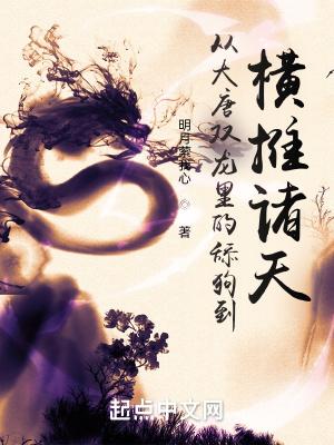穿越从大唐双龙开始