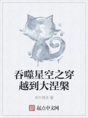 吞噬星空之穿越到大涅槃作者雨中喝茶