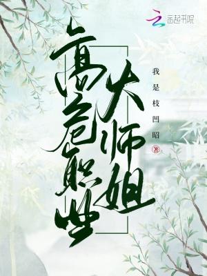 高危职业大师姐 TXT