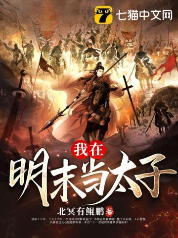 朱慈烺力挽狂澜穿越免费阅读
