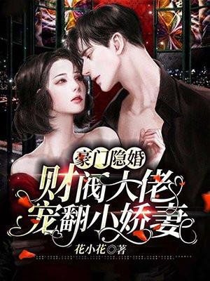 隐婚甜宠大财阀的