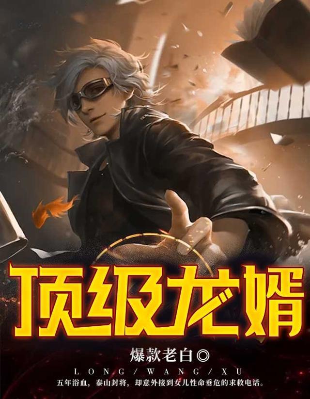 顶级赘婿
