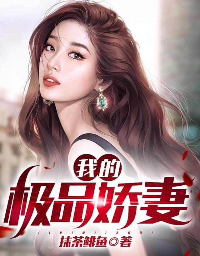 电视剧叫我的极品老婆