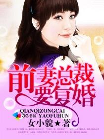 总裁求复婚前妻再爱我一次