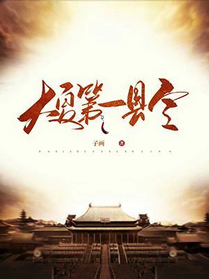 大夏第一县令TXT奇书网