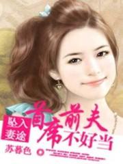 坠入免费全文阅读