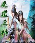 魔道原神联动