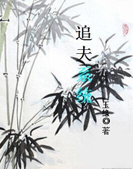 追夫文
