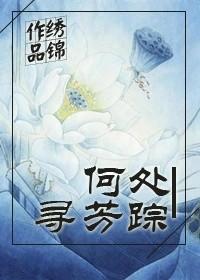 何处寻芳踪下句