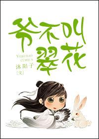 翠花的电视剧叫什么