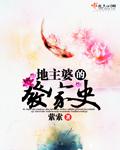 地主婆的发家史TXT